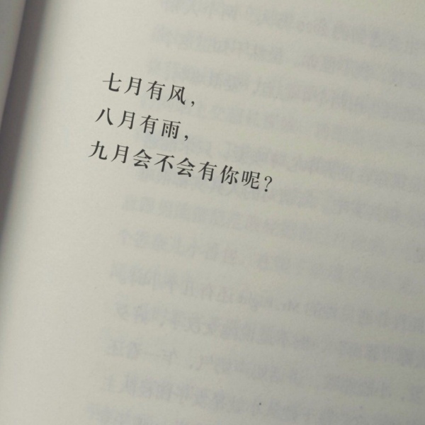 念七  文字图书
