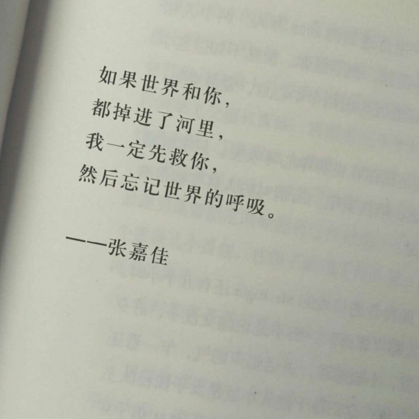 念七  文字图书