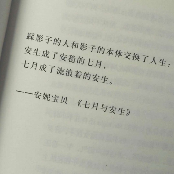 念七  文字图书