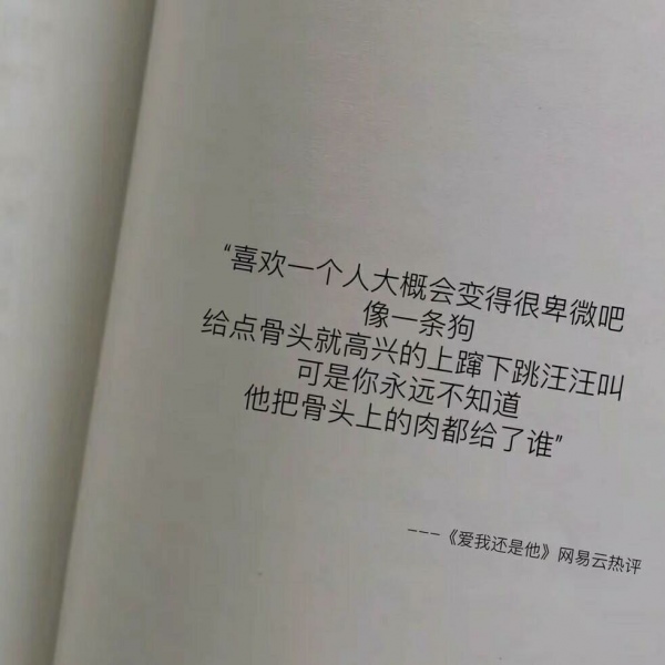 精选热搜网易云热评背景图/明日的风向何去 满床清梦压星河.