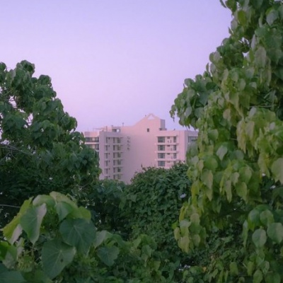 洛白:唯美背景（家居 意境 唯美 清新 理想）