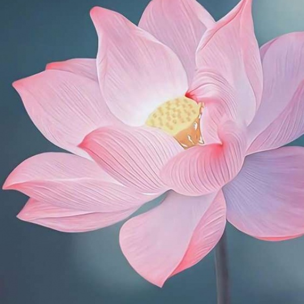 扼杀/为ta多做一点事，给与ta温暖