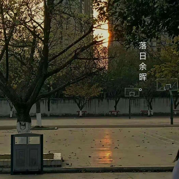 #高质背景图.我在贩卖日落你像神明一样将阳光撒向我.