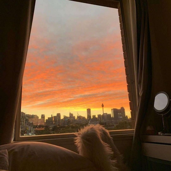 唯美黄昏后背景图