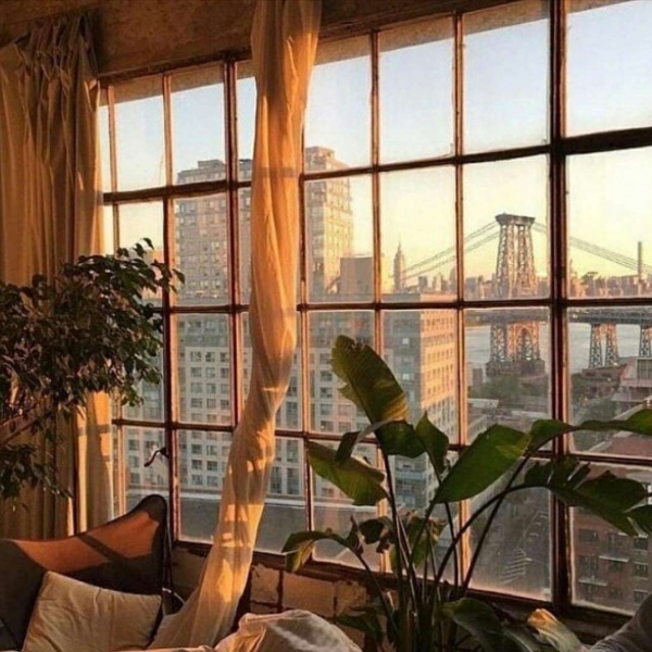 唯美黄昏后背景图