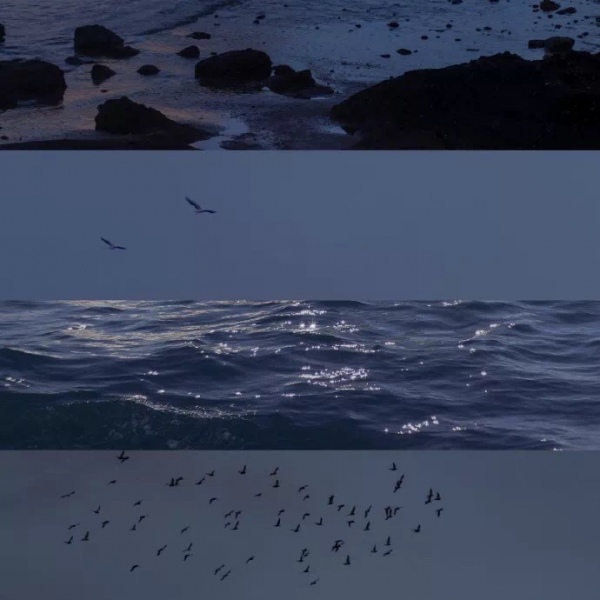 玖颜/女生背景图/盛夏光景.