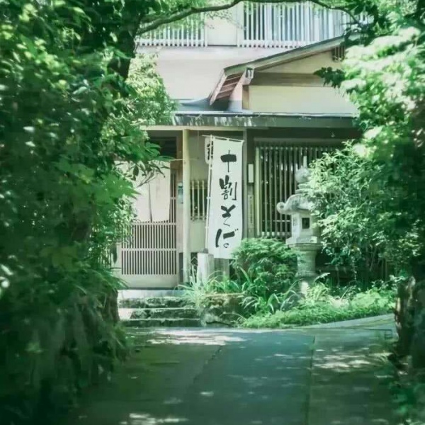 绿色系  护眼从绿色开始