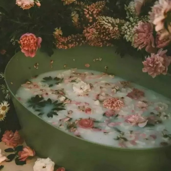 绿色系  护眼从绿色开始