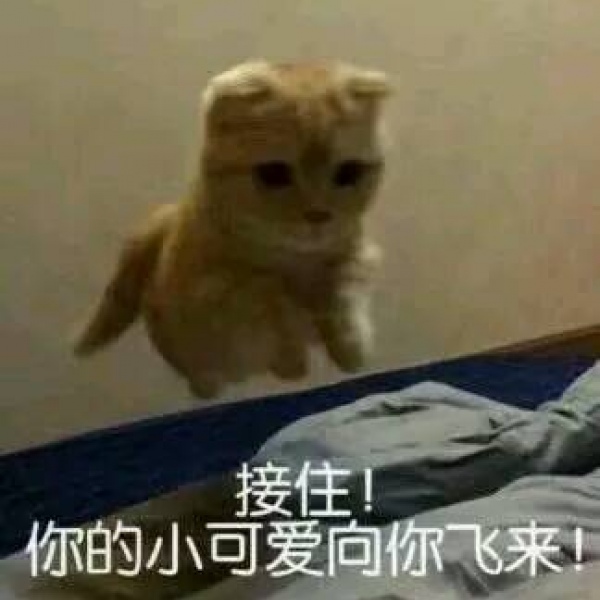 亦泽/表情包系列/搞笑可爱