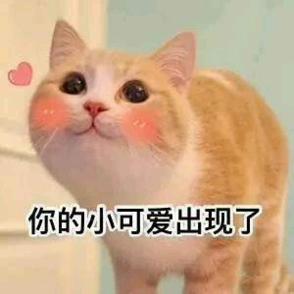 亦泽/表情包系列/搞笑可爱