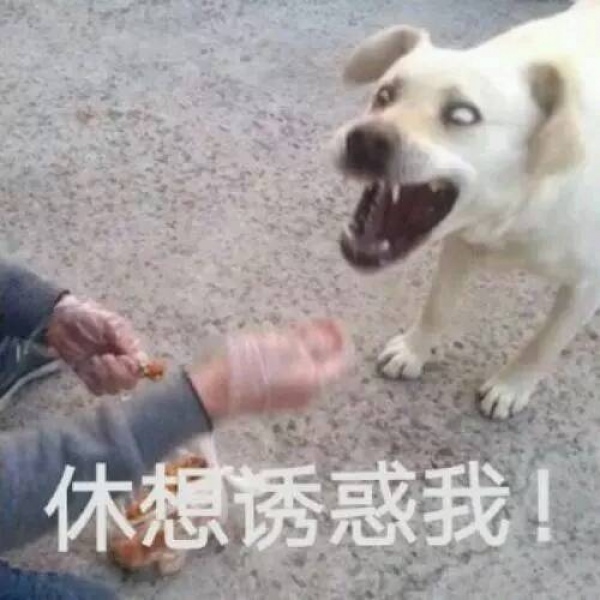 亦泽/表情包系列/搞笑可爱