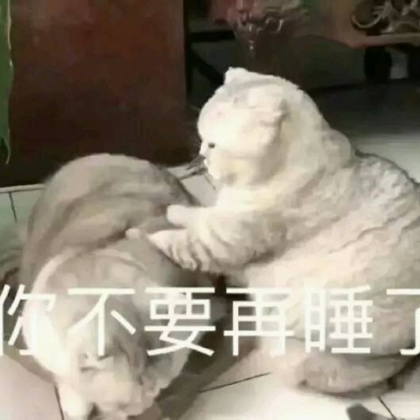 亦泽/表情包系列/搞笑可爱
