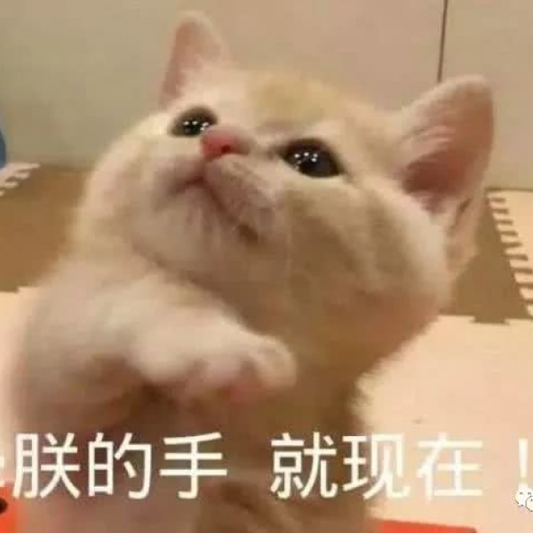 亦泽/表情包系列/搞笑可爱
