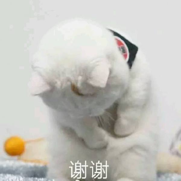 亦泽/表情包系列/搞笑可爱