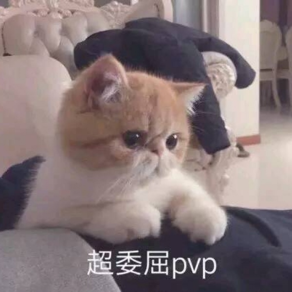 亦泽/表情包系列/搞笑可爱