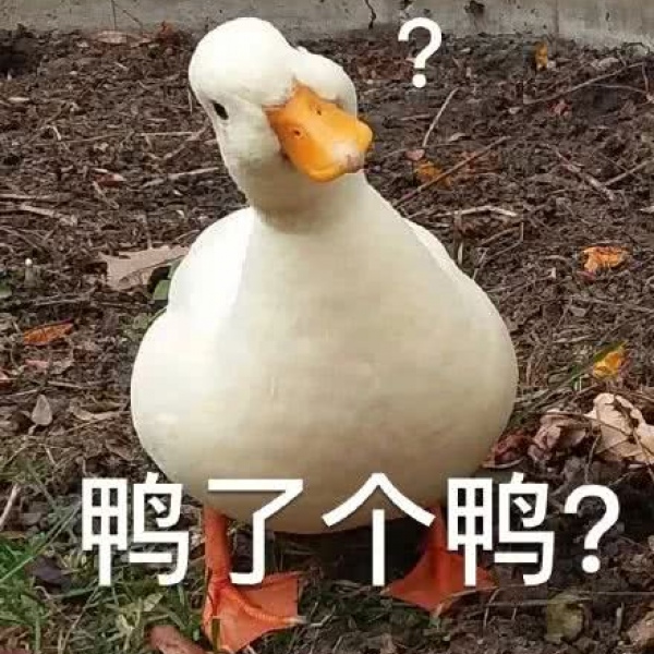 亦泽/表情包系列/搞笑可爱