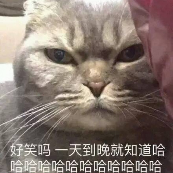 亦泽/表情包系列/搞笑可爱