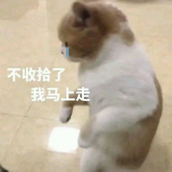 亦泽/表情包系列/搞笑可爱