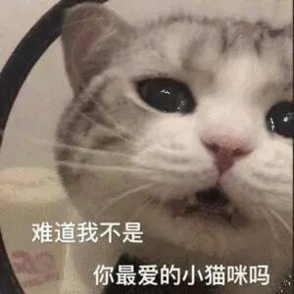 亦泽/表情包系列/搞笑可爱