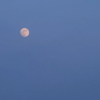 安奈 意境傍晚清新背景图 不止木星瑰丽 整个银河系我都愿赠予你