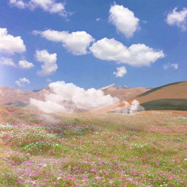 顾浔：清新治愈系背景图 热爱可抵岁月漫长