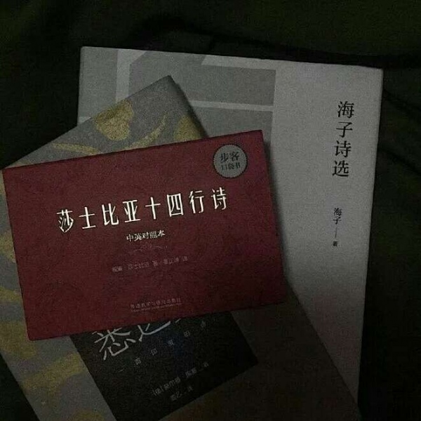顾浔：清新治愈系背景图 热爱可抵岁月漫长