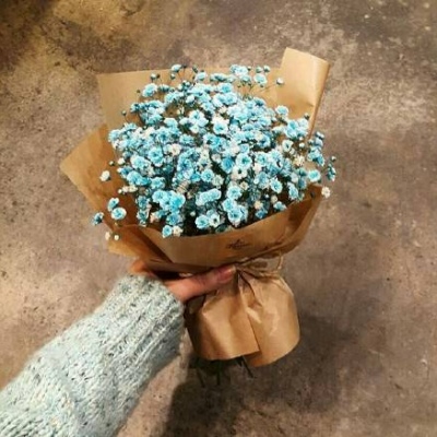 沈曦：唯美ins花束背景图