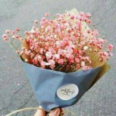 沈曦：唯美ins花束背景图