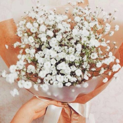 沈曦：唯美ins花束背景图