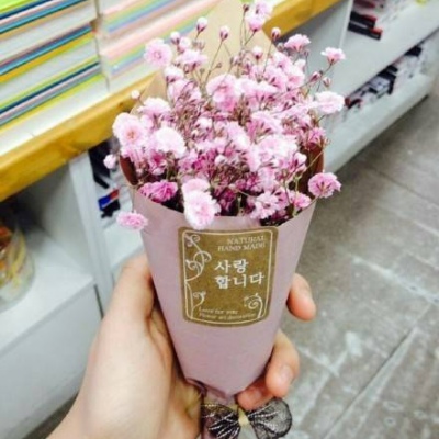 沈曦：唯美ins花束背景图