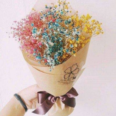沈曦：唯美ins花束背景图