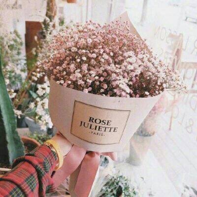 沈曦：唯美ins花束背景图