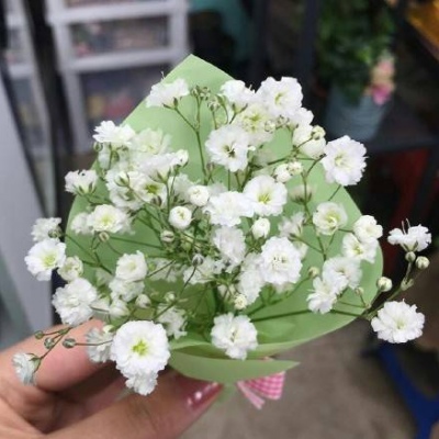 沈曦：唯美ins花束背景图