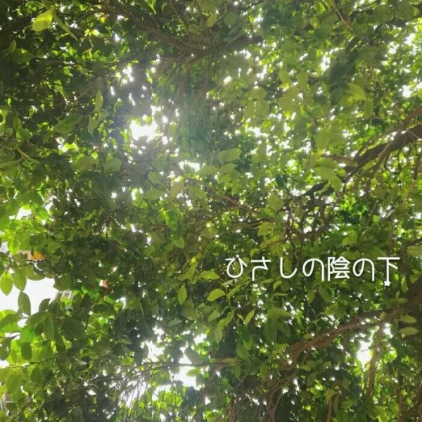 安奈 ins风治愈系背景图 等到苦尽甘来的那一天 山河星月都做贺礼