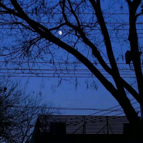 安奈 ins风治愈系背景图 等到苦尽甘来的那一天 山河星月都做贺礼