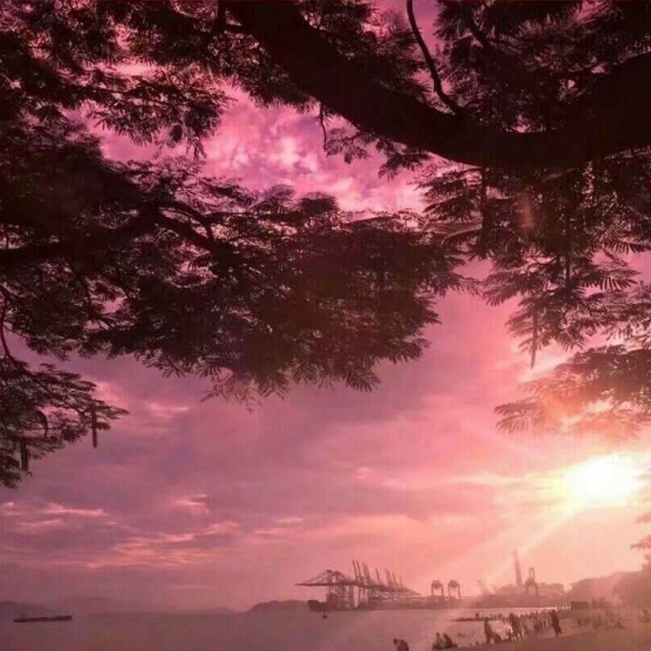 ins风唯美空间背景图/活在这个世界上 还真是打扰了.