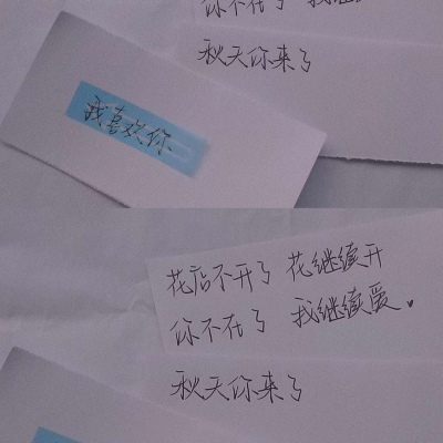 花店不开了 花还在开 你不在了 我也继续爱
