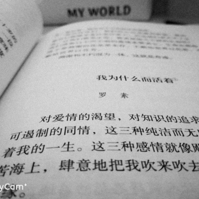 花店不开了 花还在开 你不在了 我也继续爱