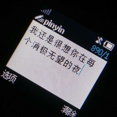 千鹤/诺基亚/我已经很久没有见到我想见的人了