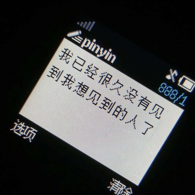 千鹤/诺基亚/我已经很久没有见到我想见的人了
