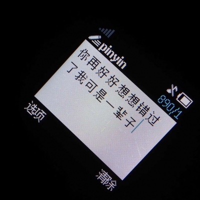 千鹤/诺基亚/我已经很久没有见到我想见的人了