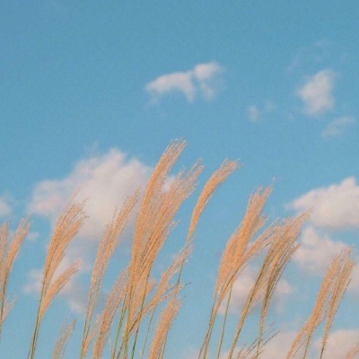 唯美秋景/头像背景图/是秋天的天空呀