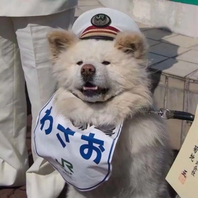 今日份沙雕头像   愿你们每天都能开开心心的