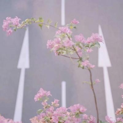 背景图 跋山涉水只求与你相遇