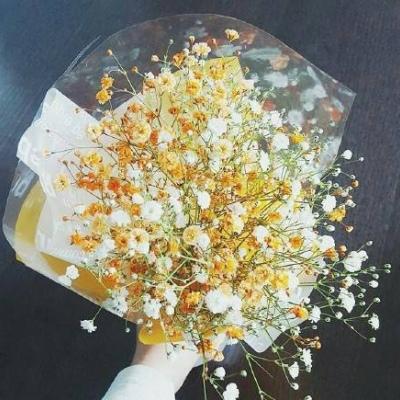 背景图 跋山涉水只求与你相遇