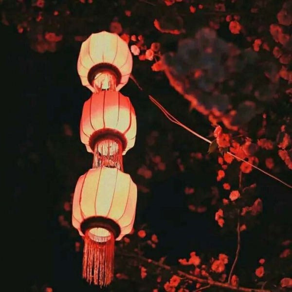 安奈 梦幻樱花背景图 我爱人的心尤为动人 你不理我的样子最为情深