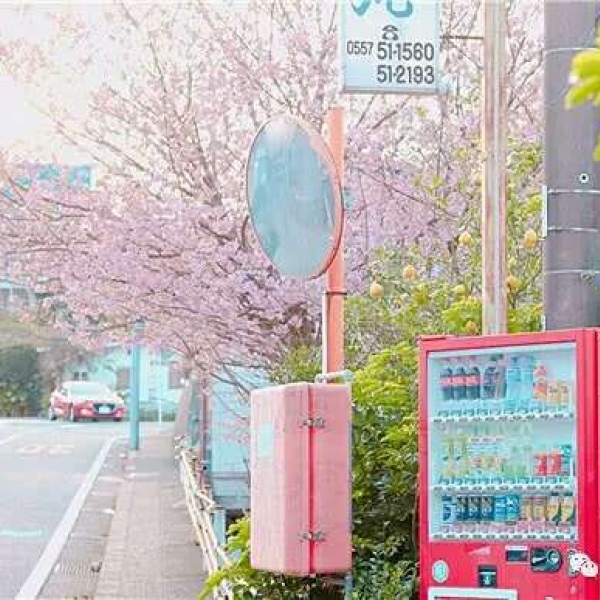 安奈 梦幻樱花背景图 我爱人的心尤为动人 你不理我的样子最为情深