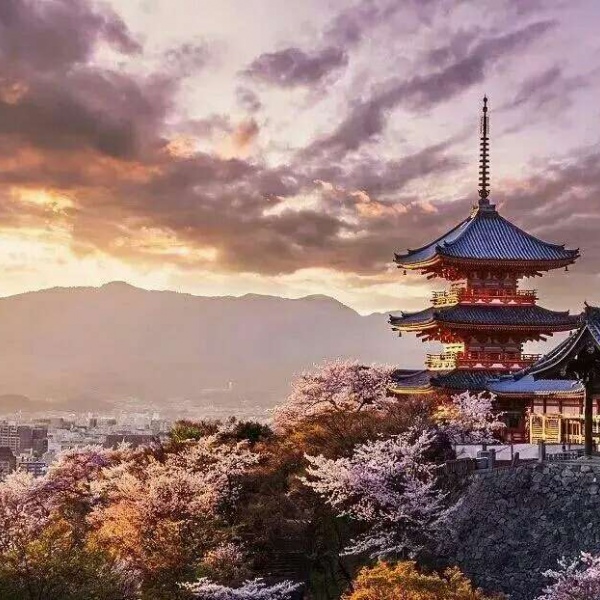 安奈 梦幻樱花背景图 我爱人的心尤为动人 你不理我的样子最为情深