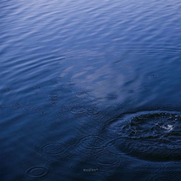 千鹤/治愈蓝色背景/你配得上世间所有美好
