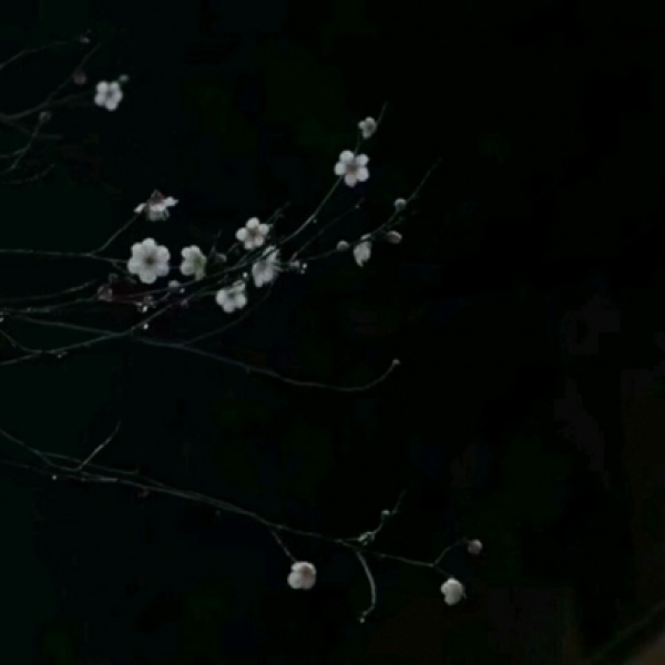 川/黑色系